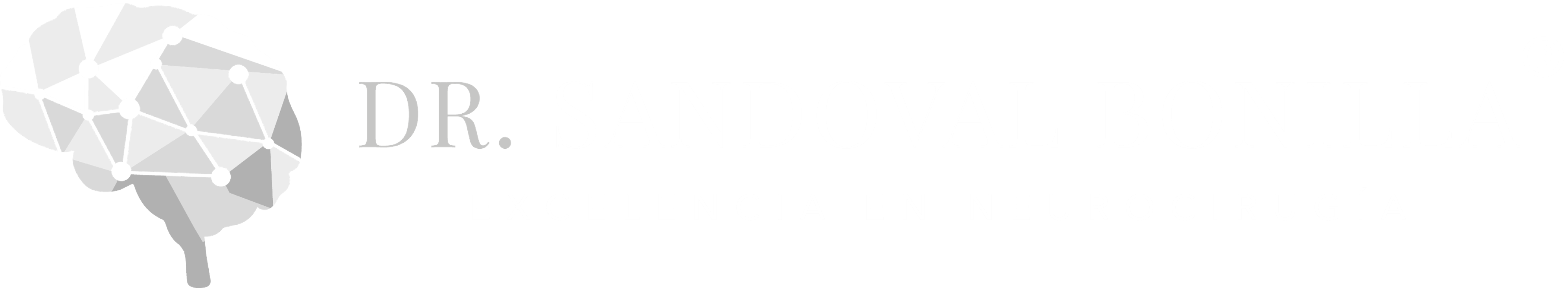 Neurocirugía en
                CDMX - Dr. Sandoval Bonilla